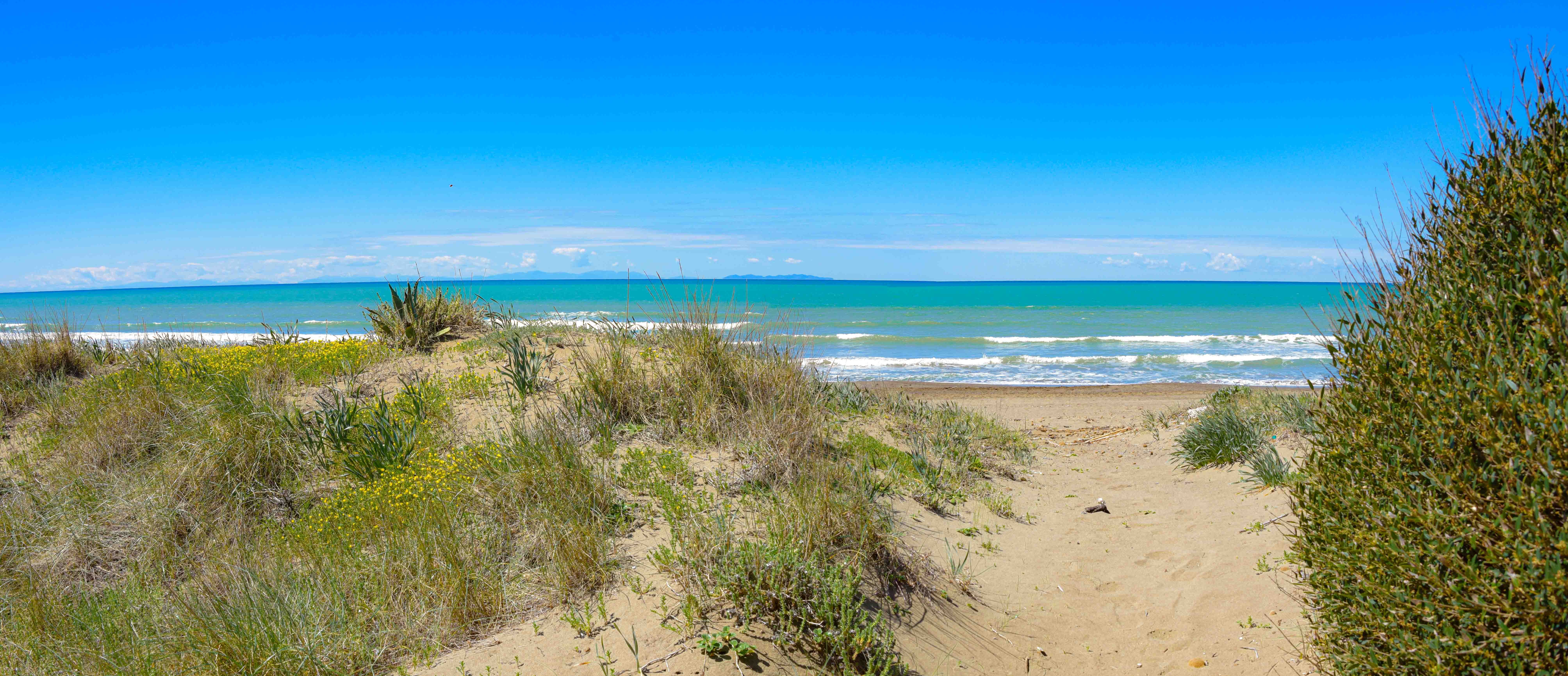 La spiaggia e il mare oltre la vegetazione costiera.